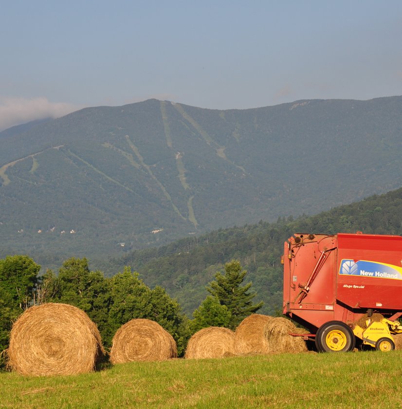 Rolling hay bales